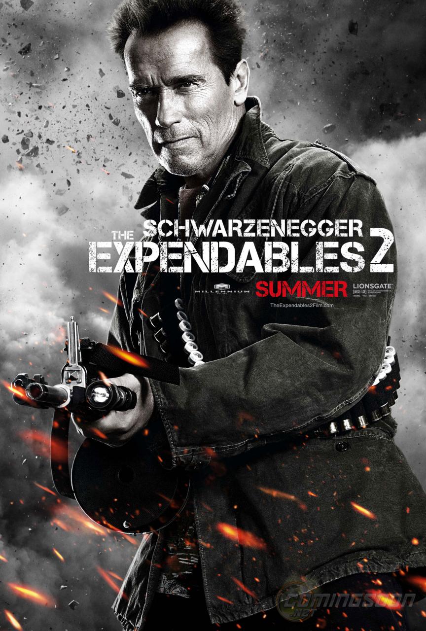 Arnold Schwarzenegger in The Expendables 2